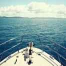 Kayley的个人资料头像