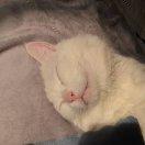 _q的个人资料头像