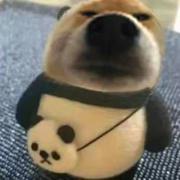 阳阳阳812的个人资料头像