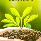 一生平安波澜不惊头像