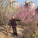 聪明安斯蒂斯3U2头像