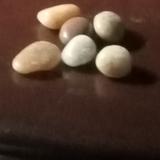 番茄2454525977308520头像