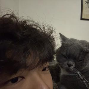 白日梦TuT（国服刘备）头像