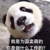 猜火车1996头像