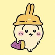 没啥食力的个人资料头像
