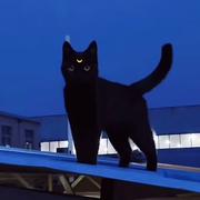 吉吉如律令的个人资料头像