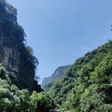 直率远山XYq头像