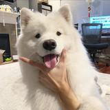 dy丶戒不掉头像
