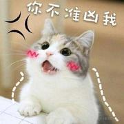 Guchcx的个人资料头像