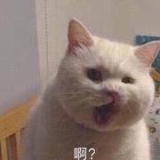 ThiagoSun的个人资料头像