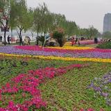 临渭猫大王头像