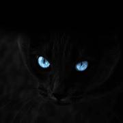 用户656299424407的个人资料头像