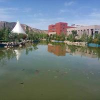 程文博雪豹头像