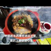可靠施先生头像