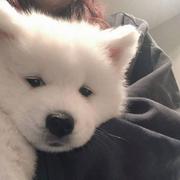 仗剑走天涯503的个人资料头像