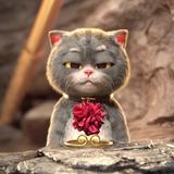 情何以堪515头像