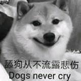 chandler666头像
