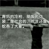 名爵6T豪灰色头像