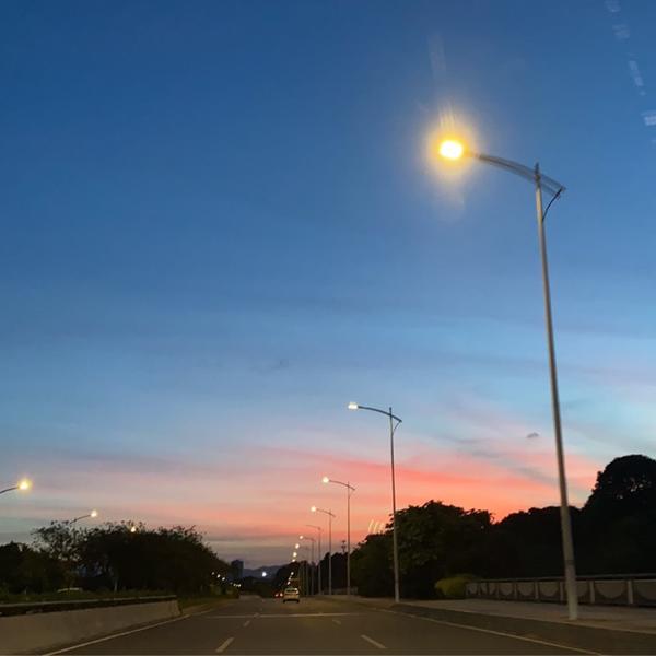 就是小网虫头像