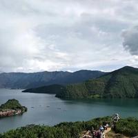 幸福巴里xf头像