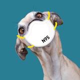 用户3544116056848头像