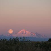 Mao445的个人资料头像