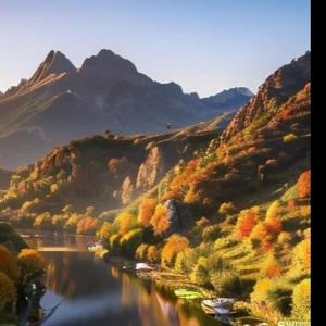 程序员的日常分享