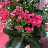 用户504430140579头像