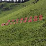用户7323616221816头像