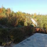 韶华易逝441头像