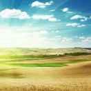 你懂得在掘金的个人资料头像