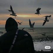 黑桃J的个人资料头像