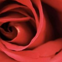 用户3362181721816头像