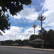 枫叶小小的个人资料头像