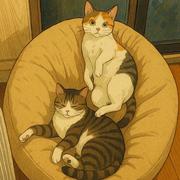 treblesun的个人资料头像