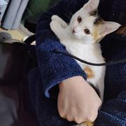 TinsFox的个人资料头像