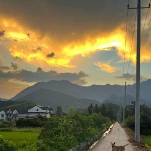 正大光明海燕IRfpIx头像