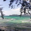 林乐乐就是我的个人资料头像