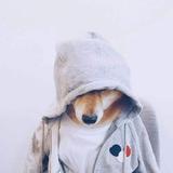 回忆是曲淡忘的歌头像