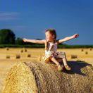 竹爱学习的个人资料头像