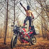 丛林野狼781头像