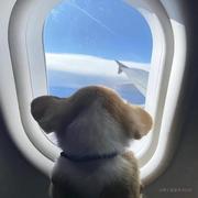 谁能带我学web3的个人资料头像