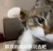 我也买一个的个人资料头像