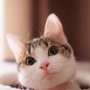 scriptcd的个人资料头像