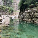 魔法师蛟河7x4头像