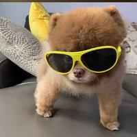 请戴好口罩866头像