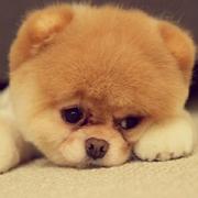 mathor_mx的个人资料头像