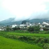 梦想与现实1918头像