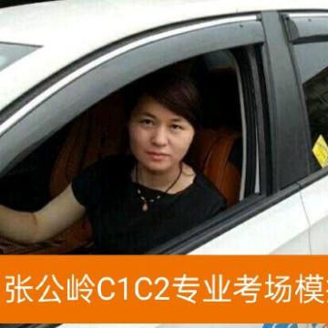 张公岭考场模拟女教练头像