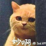 春节3317头像